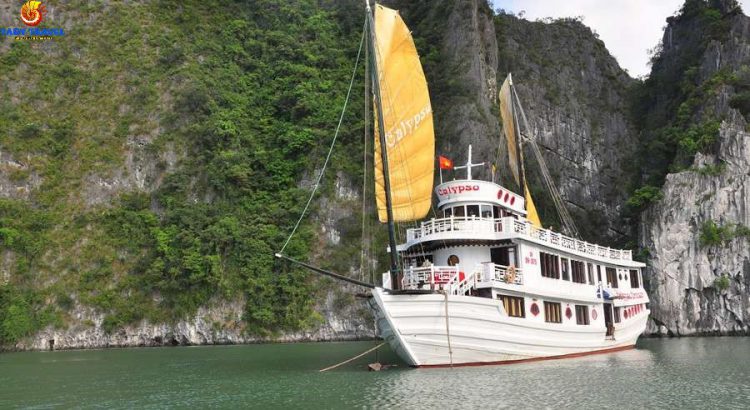 calypso-cruise-bai-tu-long-bay