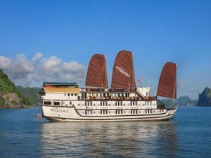 paloma-cruises-bai-tu-long-bay