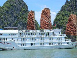 paloma-cruises-bai-tu-long-bay1