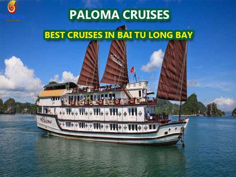 paloma-cruises-bai-tu-long-bay12