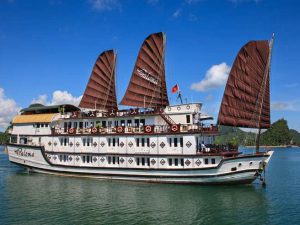 paloma-cruises-bai-tu-long-bay2