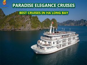 paradise-elegance-cruises27