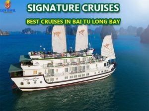 signature-cruises-bai-tu-long-bay15