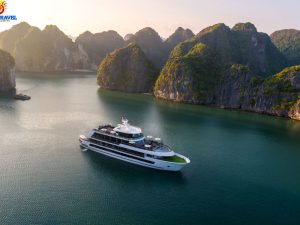 stellar-of-the-seas-cruises