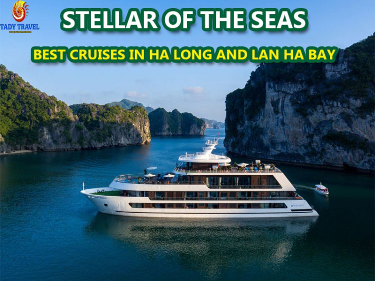 stellar-of-the-seas-cruises33