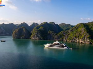 stellar-of-the-seas-cruises4