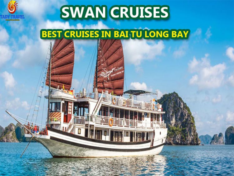 swan-cruises-bai-tu-long-bay25