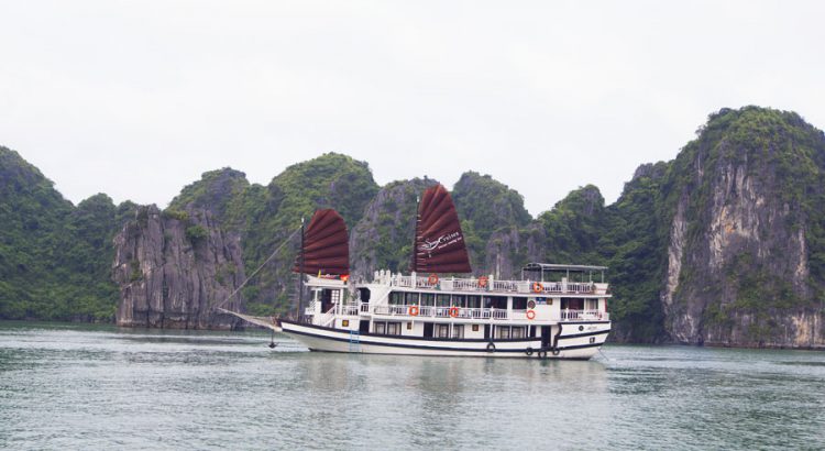 swan-cruises-bai-tu-long-bay4