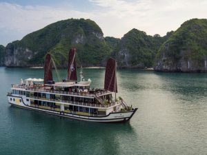 orchid-cruises-lan-ha-bay