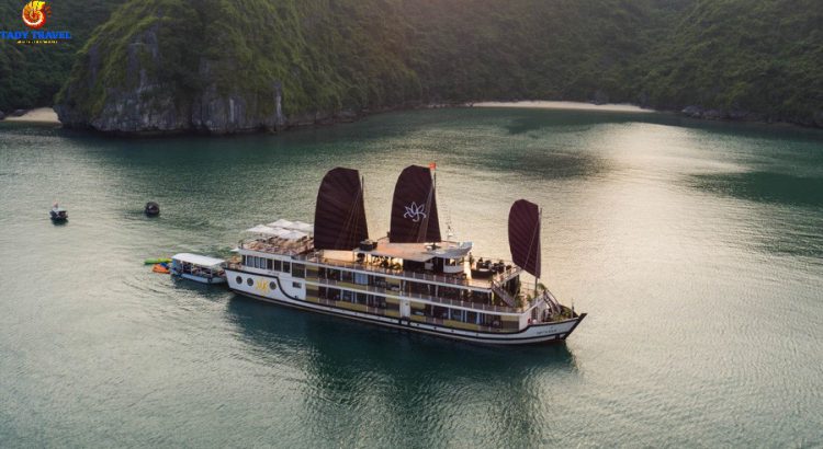 orchid-cruises-lan-ha-bay1