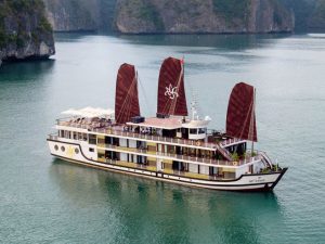 orchid-cruises-lan-ha-bay10