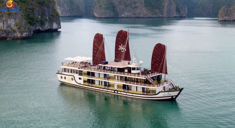 orchid-cruises-lan-ha-bay10