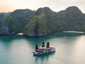 orchid-cruises-lan-ha-bay11