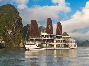 orchid-cruises-lan-ha-bay12