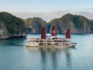 orchid-cruises-lan-ha-bay13