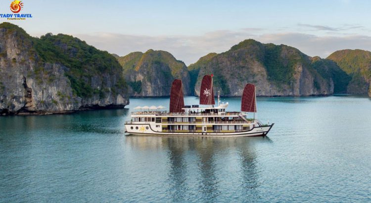 orchid-cruises-lan-ha-bay13