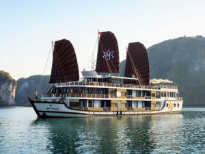 orchid-cruises-lan-ha-bay14