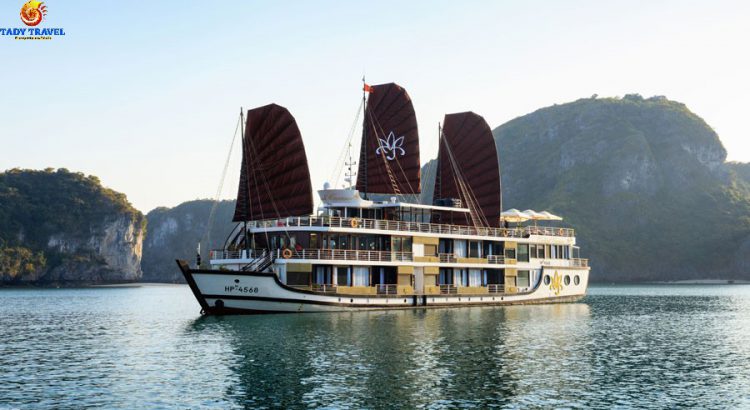 orchid-cruises-lan-ha-bay14