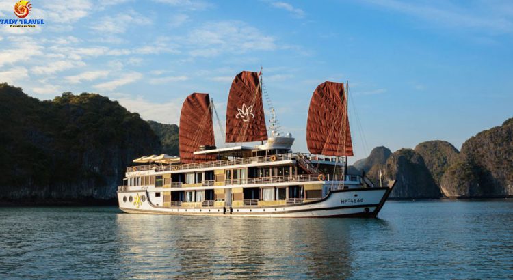 orchid-cruises-lan-ha-bay15