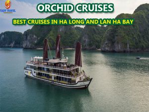 orchid-cruises-lan-ha-bay33