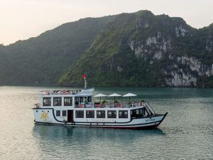 orchid-day-cruises-lan-ha-bay