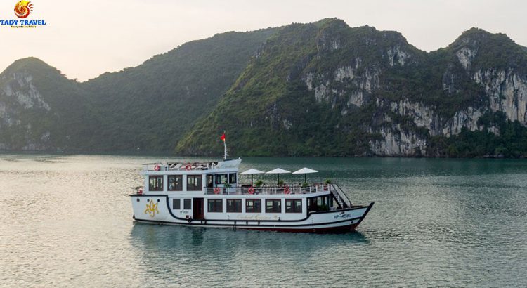 orchid-day-cruises-lan-ha-bay