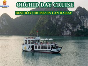 orchid-day-cruises-lan-ha-bay18