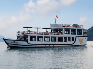 orchid-day-cruises-lan-ha-bay2