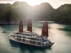 orchid-trendy-cruises-lan-ha-bay