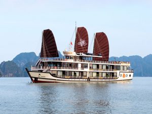 orchid-trendy-cruises-lan-ha-bay1