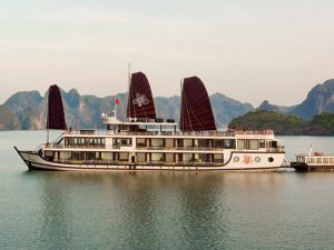 orchid-trendy-cruises-lan-ha-bay3