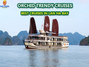 orchid-trendy-cruises-lan-ha-bay39