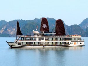 orchid-trendy-cruises-lan-ha-bay4