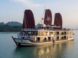 orchid-trendy-cruises-lan-ha-bay5