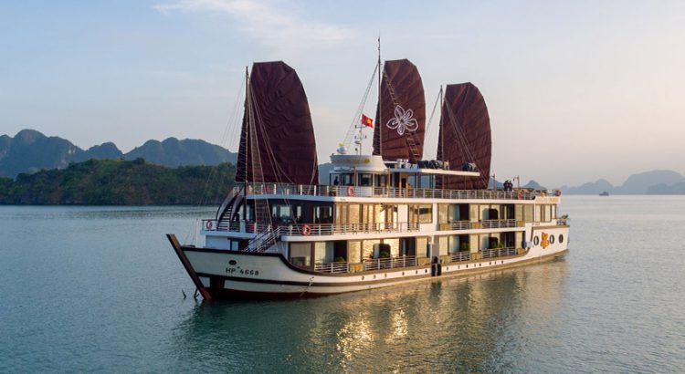 orchid-trendy-cruises-lan-ha-bay5