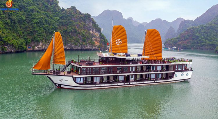 peony-cruises-lan-ha-bay1