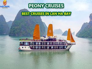 peony-cruises-lan-ha-bay41