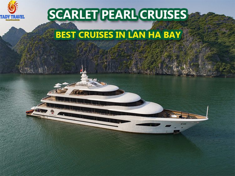 scarlet-pearl-cruises10