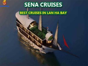 sena-cruises-lan-ha-bay33