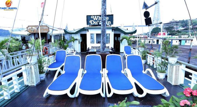 white-dolphin-cruises-bai-tu-long-bay7
