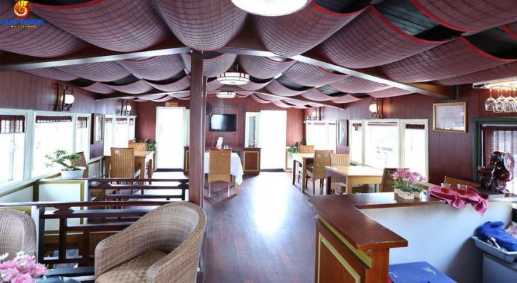 white-dolphin-cruises-bai-tu-long-bay8